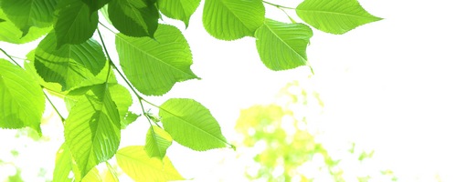 NAGATANI ナガタニ ファクトリーレザーブランド販売サイトへ